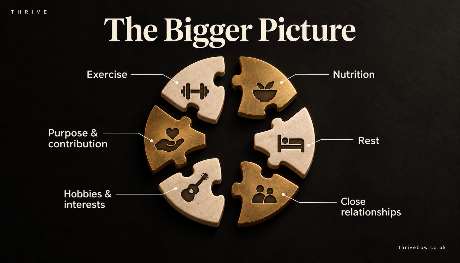 Six separate jigsaw pieces arranged in a circle: exercise, nutrition, rest, close relationships, hobbies and interests, and purpose and contribution.